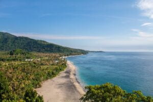 green trees near blue sea under blue sky